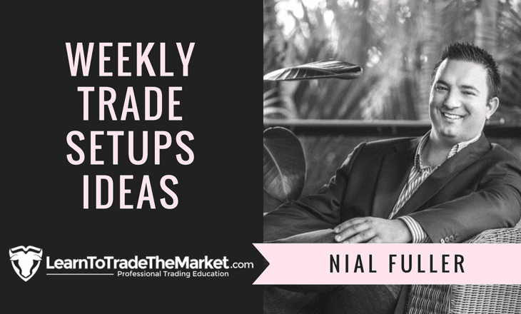 Nial Fuller forex trader education
