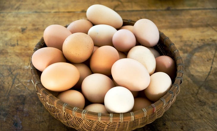 diversification eggs in one basket