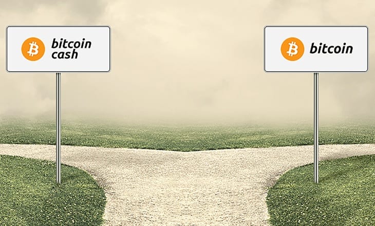 Bitcoin vs Bitcoin Cash