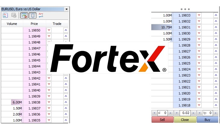 Fortex MT5 bridge