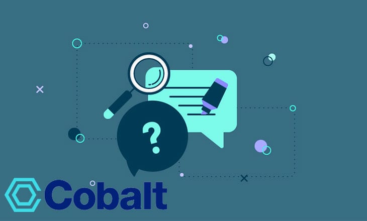 Cobalt hires Traiana executive Anoushka Rayner as Head of Sales