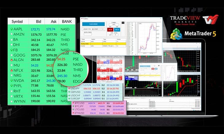 Tradeview Ltd Launches On Exchange Equities For Metatrader 5 Platform - 