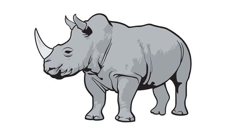 The fast-approaching “Gray Rhino” of 2019 Part I