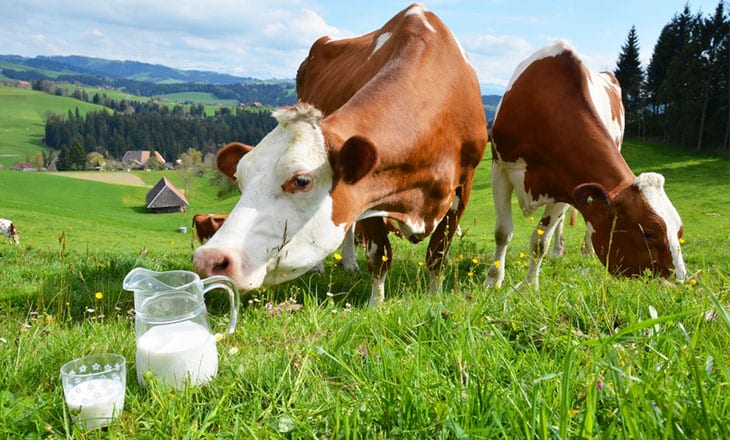 Carrefour lets customers know about milk products through blockchain