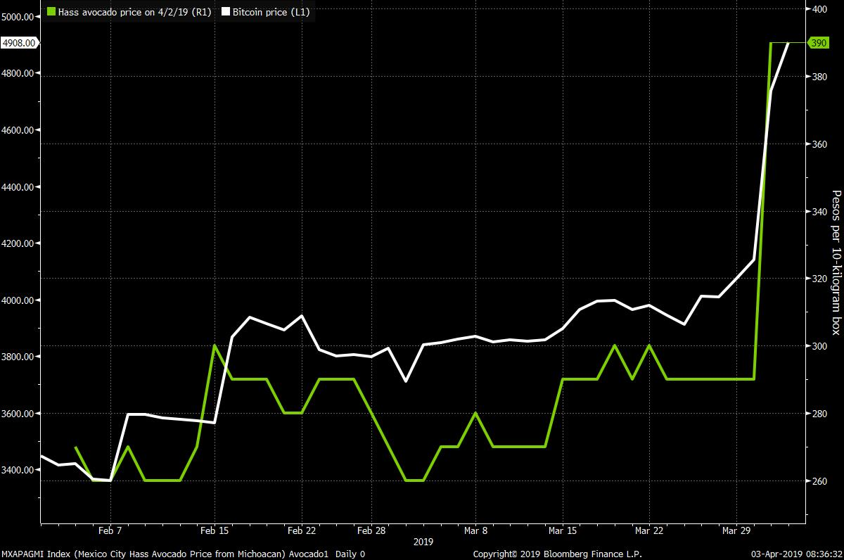 avocado price bitcoin