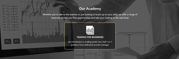 ROIMAX trading academy