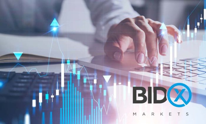 BidX Markets