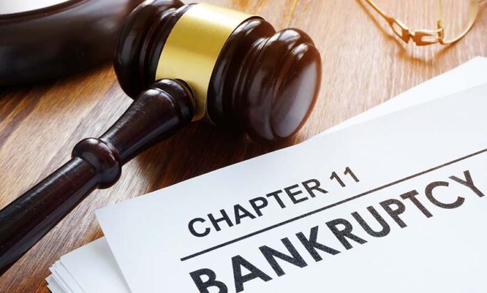 Bankruptcy chapter 11