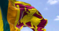 Sri Lankan flag